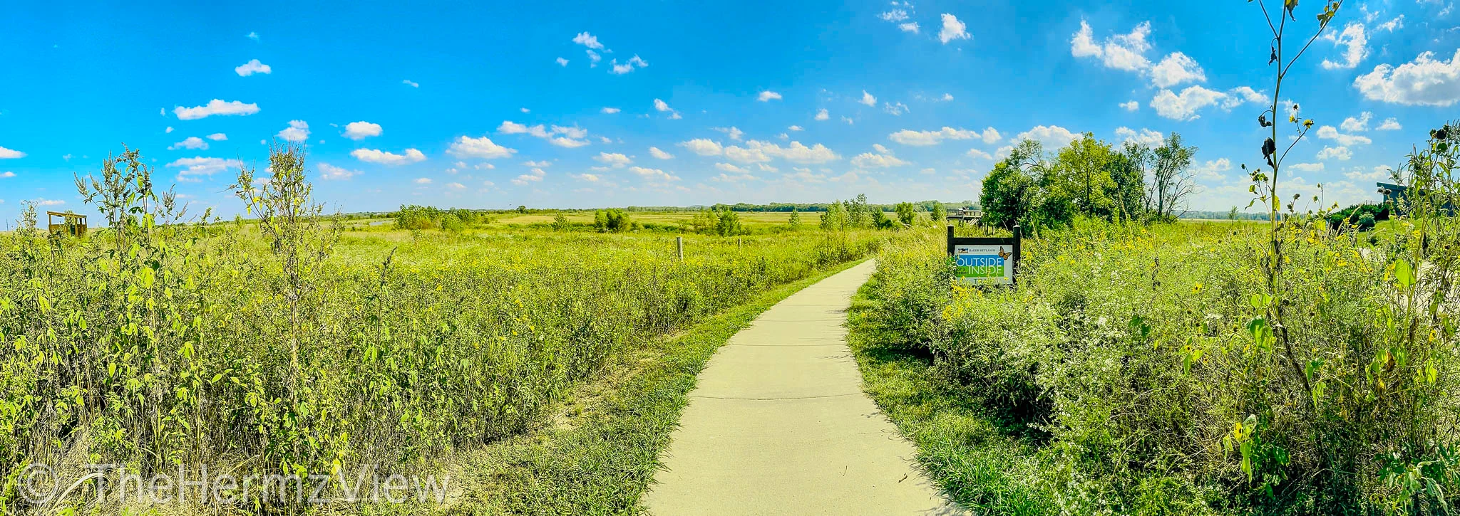 A paved walking trail curves through tall grasses and wild vegetation under a wide blue sky with scattered clouds.