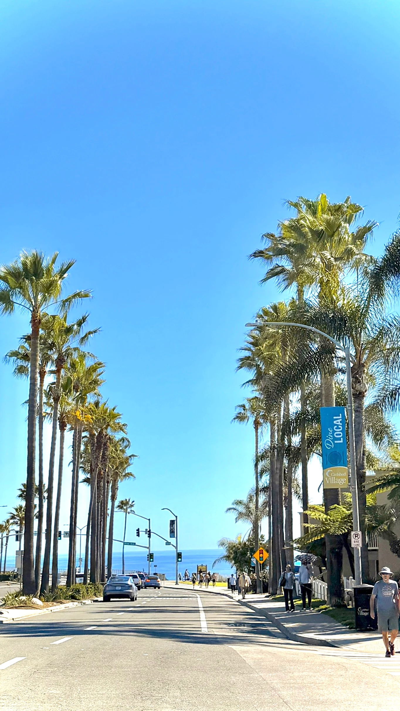 A sunny road lined with tall palm trees on both sides leading directly toward the ocean under a clear blue sky.