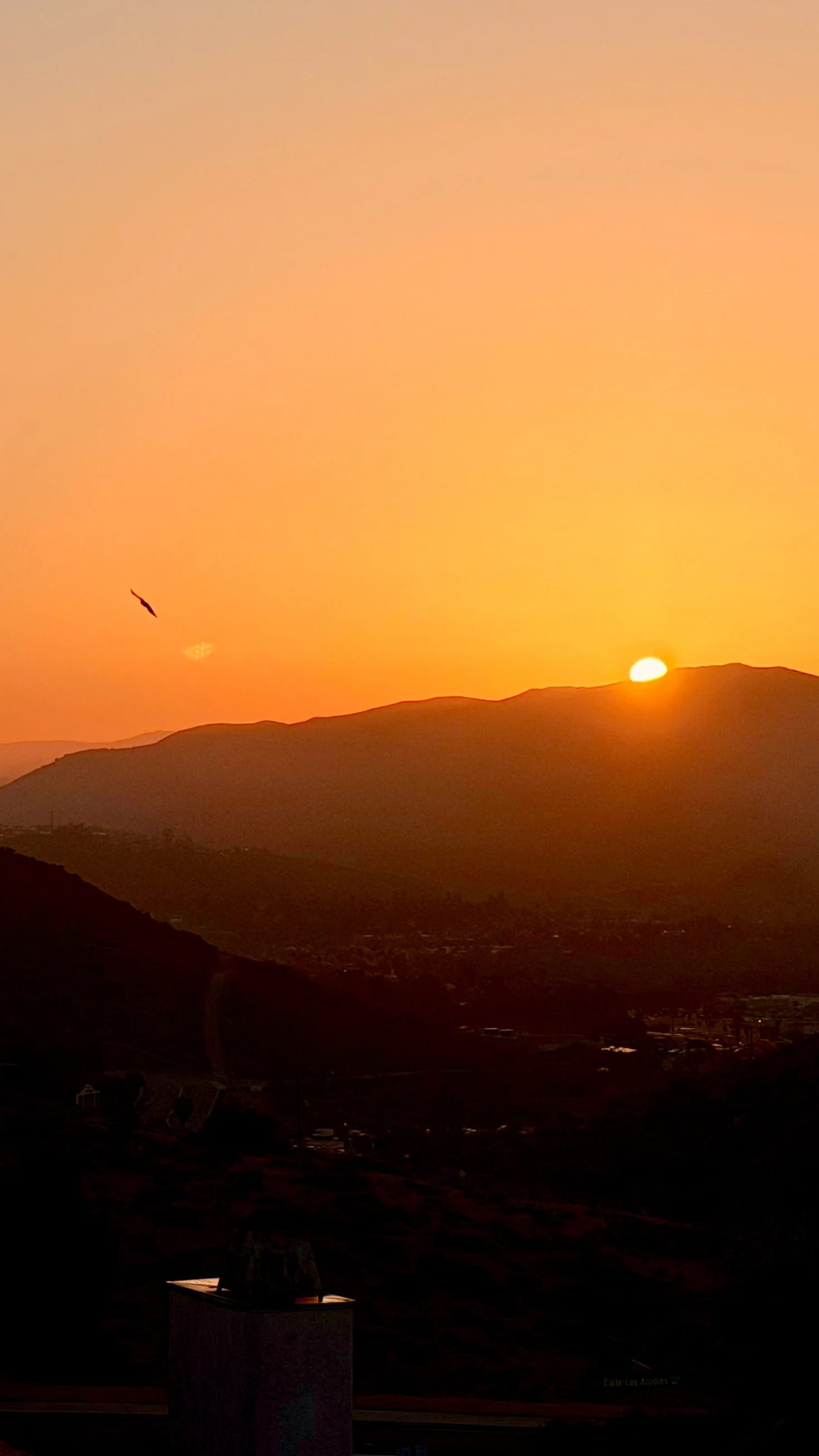 Bright sun rising over mountain silhouettes under an orange sky with a bird in flight.