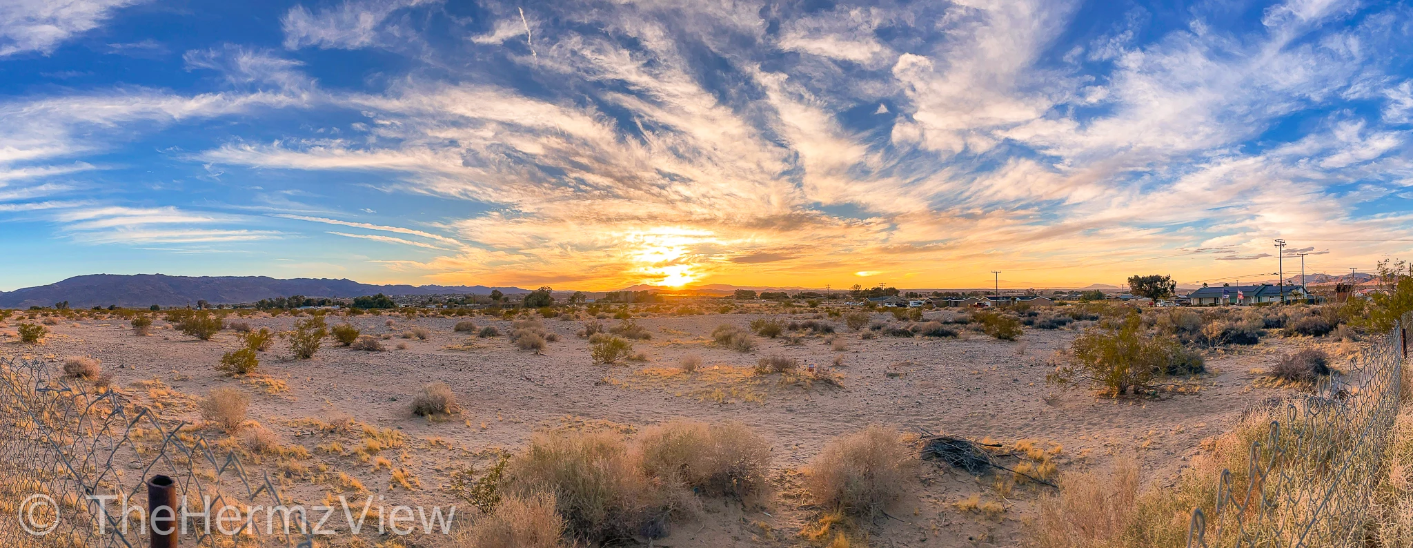 Panoramic view of a sandy desert landscape filled with low shrubs under a wide sky of wispy clouds lit by a golden sunset.