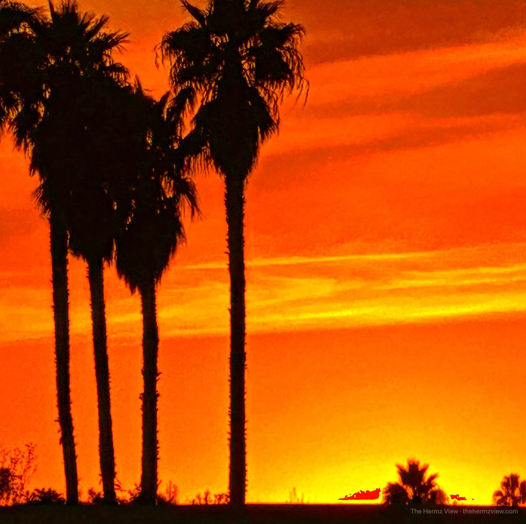 Photograph by The Hermz View