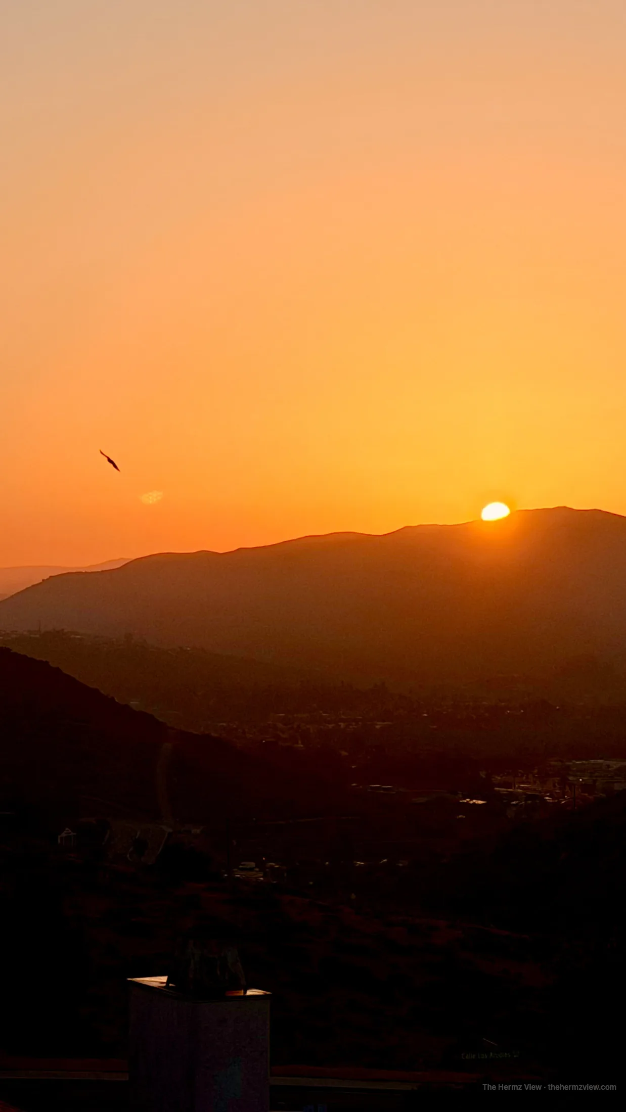 Bright sun rising over mountain silhouettes under an orange sky with a bird in flight.