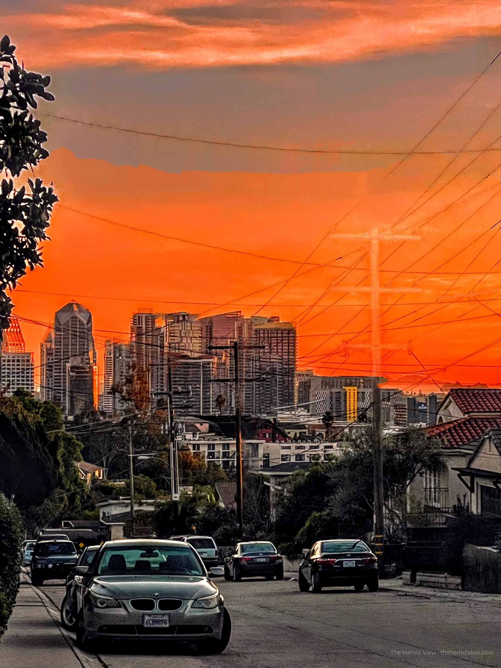 Photograph by The Hermz View