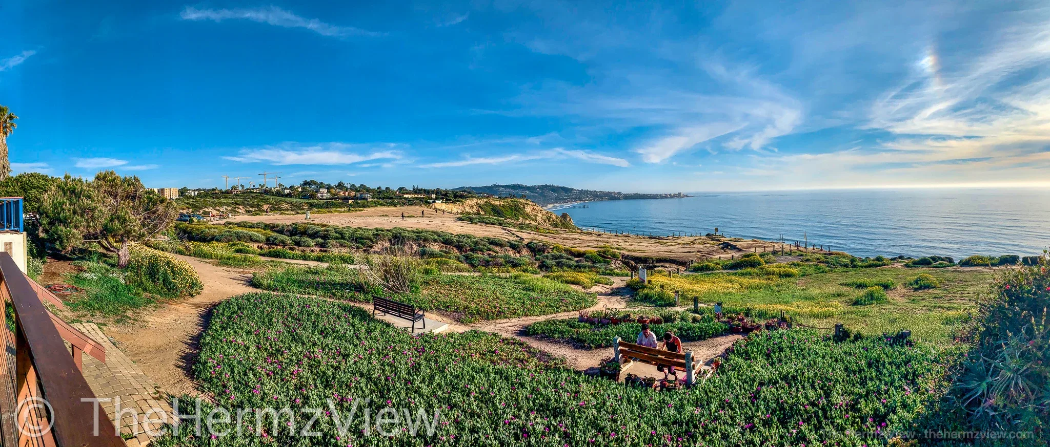 Panoramic view of dirt trails through flowering succulents on a coastal bluff overlooking a blue ocean under a clear sky.