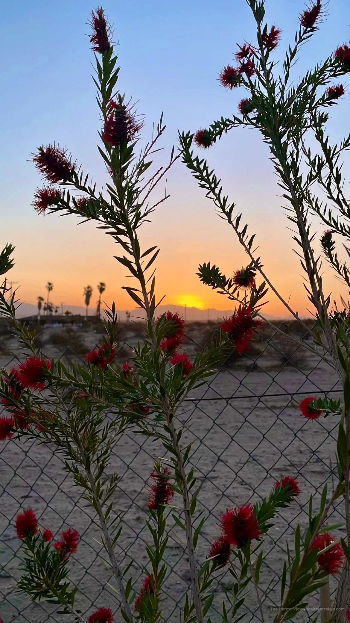 Sunset over the desert near Twentynine Palms, California.