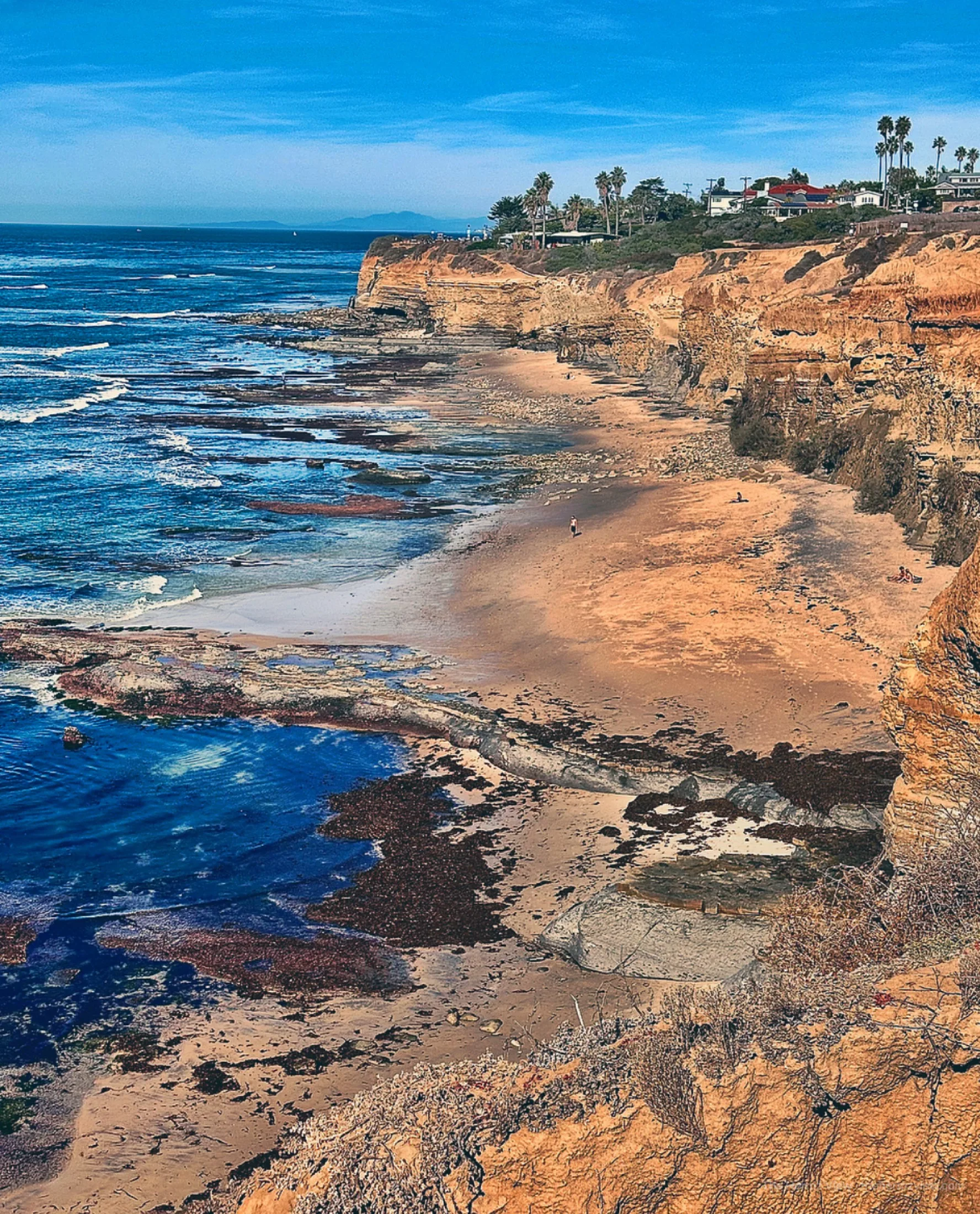 Sweeping overlook from a coastal cliff