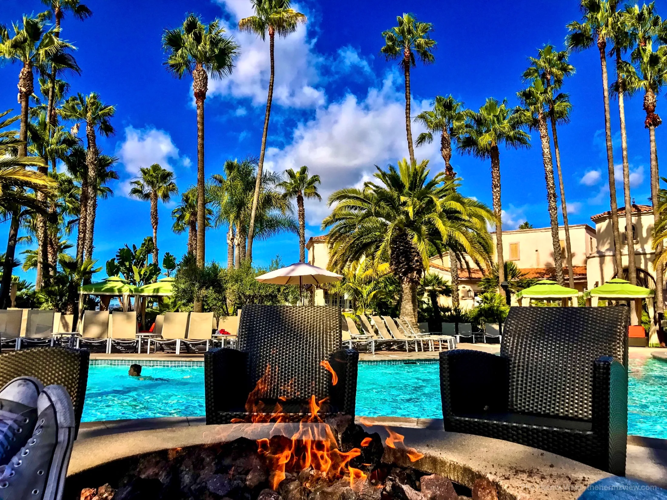 Poolside palms under a soft sky