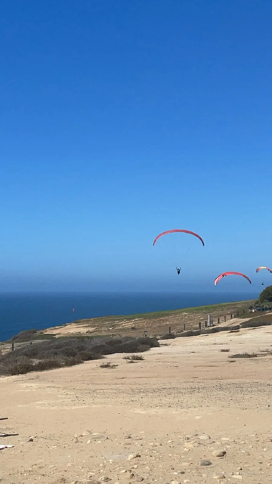 Paragliders drifting above the Pacific