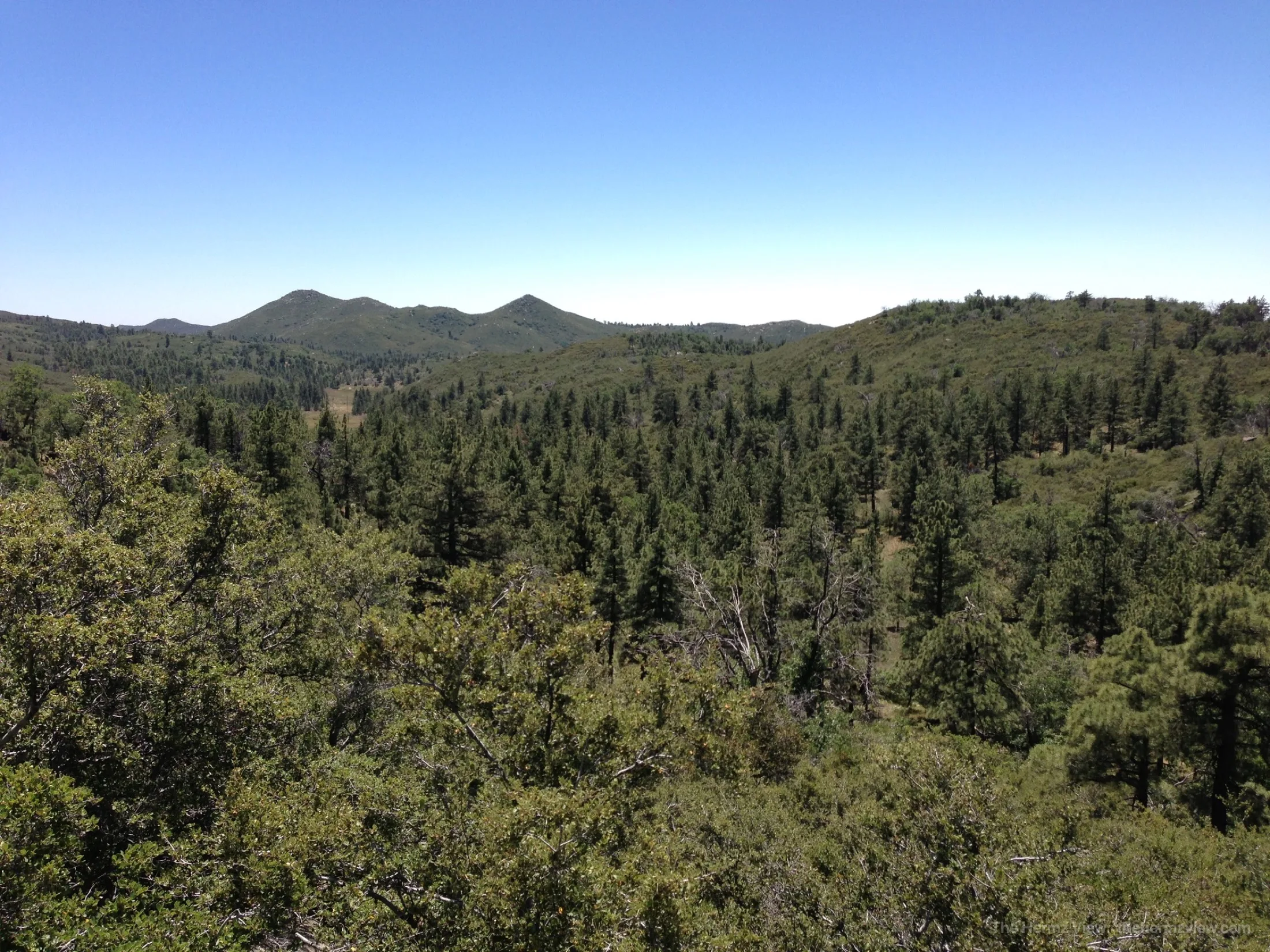 Pine-covered ridges rolling into the distance