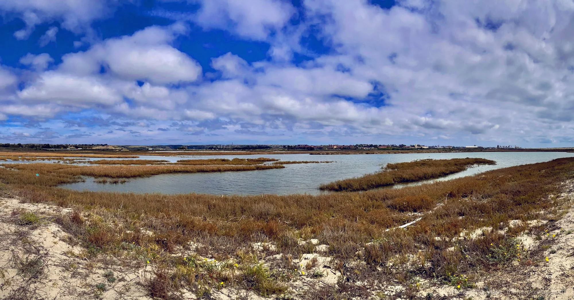 Coastal wetland beneath textured clouds and blue sky