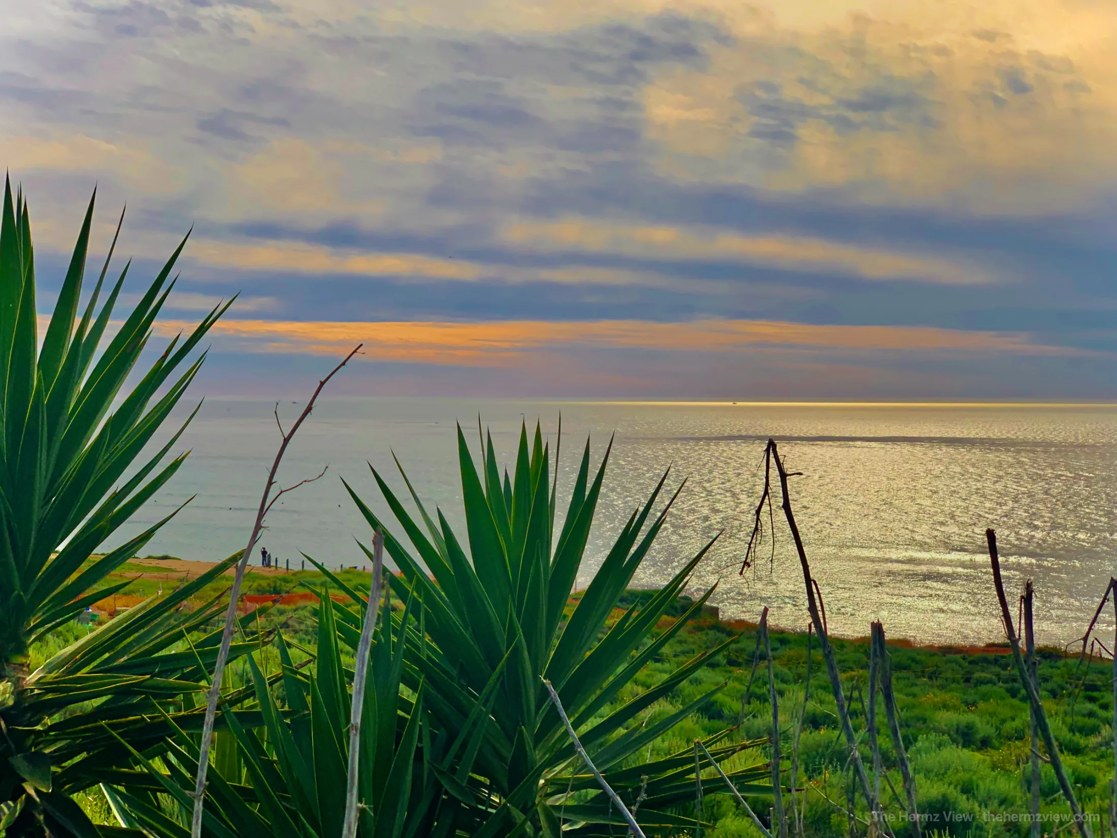 Photograph by The Hermz View