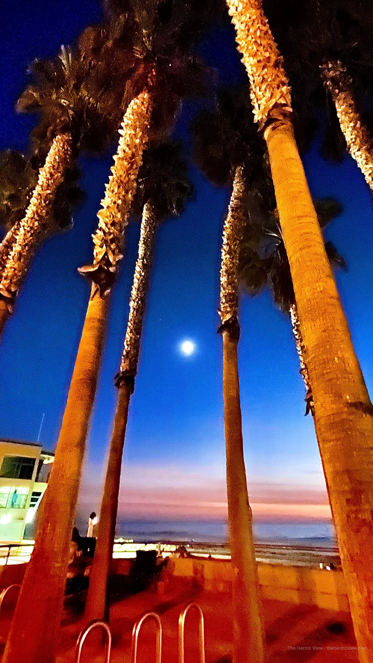Photograph by The Hermz View