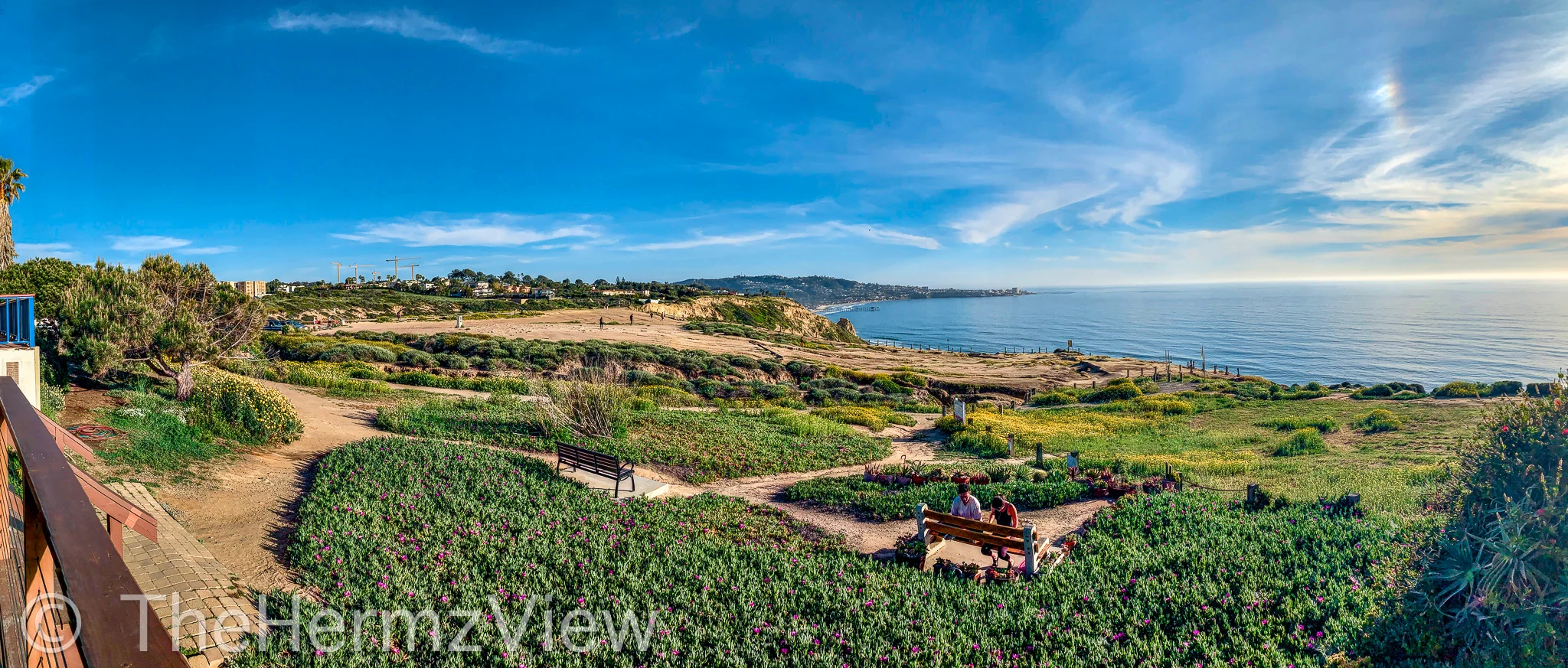 Panoramic view of dirt trails through flowering succulents on a coastal bluff overlooking a blue ocean under a clear sky.
