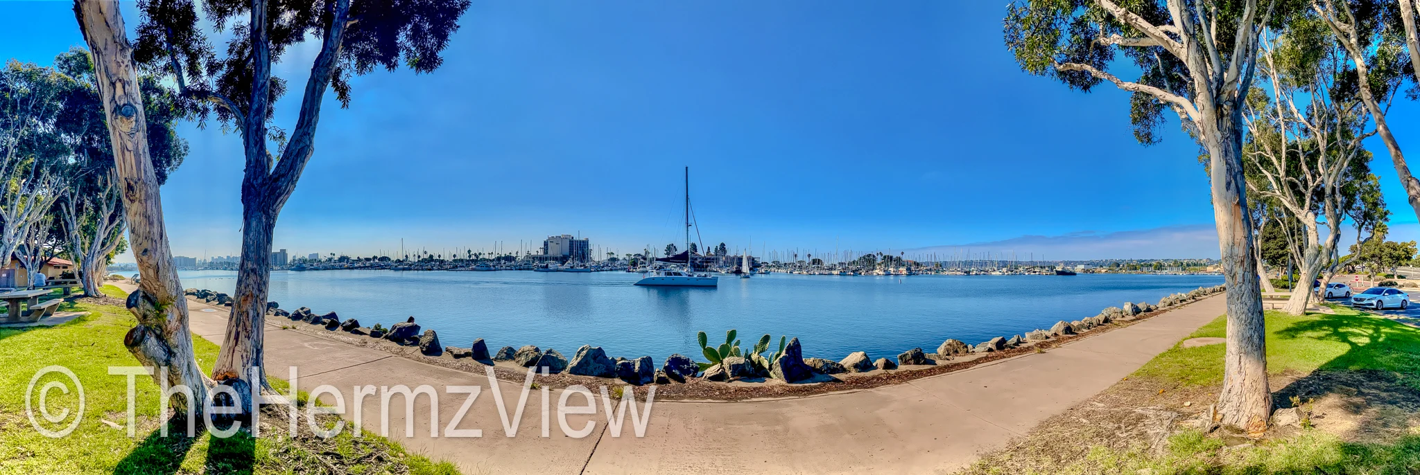 Wide panoramic view of a calm harbor framed by eucalyptus trees along a concrete walking path under a bright blue sky.