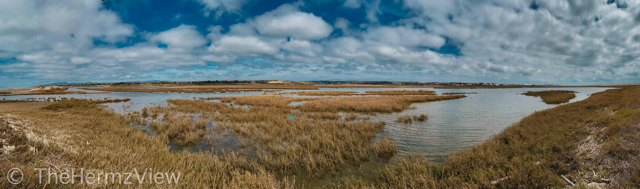 Wide panoramic view of coastal marshland with dry brown grasses in shallow waters under a blue sky with scattered clouds.